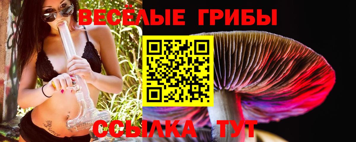 Великий Устюг  Галлюциногенные грибы MAGIC MUSHROOMS  Вход с VPN 
