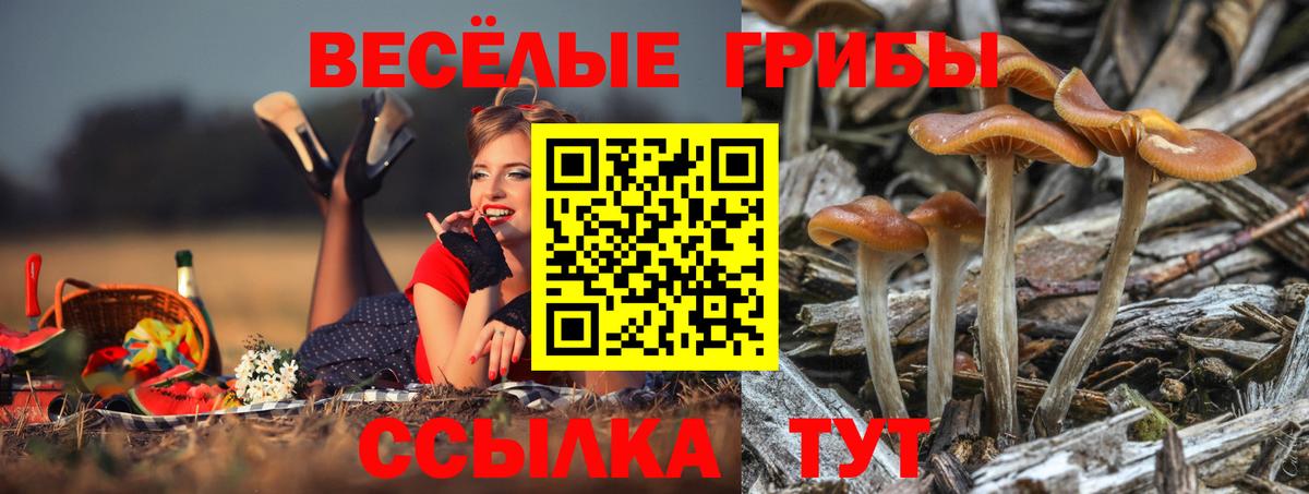 Псилоцибиновые грибы Magic Shrooms Великий Устюг